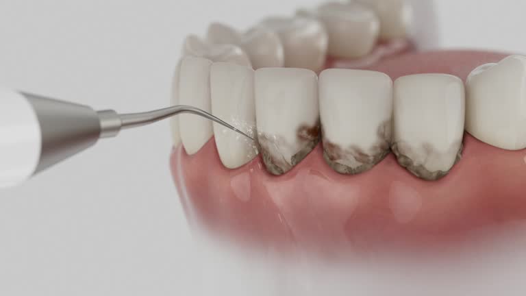 Reliable Dental contractor in Anaconda, MT by Dentist Open Now